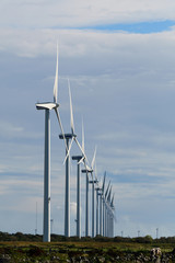 Wall Mural - Windräder in der Abendsonne