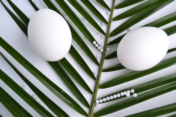 white easter eggs and palm branch on a white background