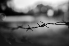 Black And White Barbed Wire. Dramatic Photo Of Historic Scenery At The Auschwitz Concentration Camp