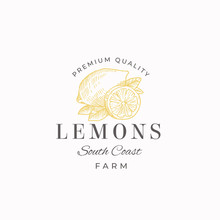 Lemon Fruit Farms Abstract Vector Sign, Symbol Or Logo Template. Hand Drawn Lemons With Leaves Sketch With Retro Typography. Vintage Luxury Emblem.