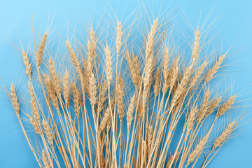 Naklejka na meble Ripe wheat ears on blue background
