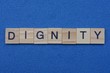  word dignity from small gray wooden letters lies on a blue background