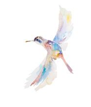Abstract Watercolor Painting Of Small Flying Humming Bird Isolated On White Background