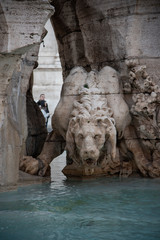 Wall Mural - Fountain of the Four Rivers by Gian Lorenzo Bernini, baroque creation in the center of Piazza Navona, Rome, Italy. Detail of the marble statue of the lion.