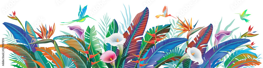 Tropical jungle plants, flower and hummingbirds, vector illustration - obrazy, fototapety, plakaty 
