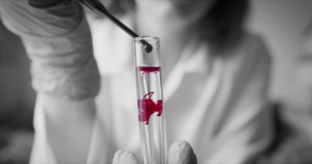 Wall Mural - scientist with pipette analyzes red colored liquid to extract the dna and molecules in the test tube