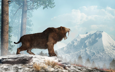 Aufkleber - A saber tooth cat stands on a snowy hill and roars into the valley below.  Smilodon populator, the largest cat ever, lived during the Pleistocene era in South America. 3D Rendering 	