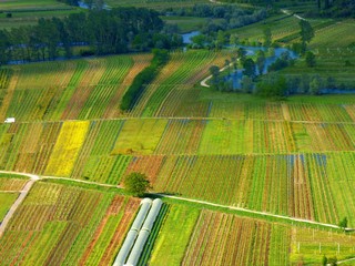 Canvas Print - field