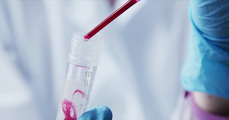 Wall Mural - scientist with pipette analyzes red colored liquid to extract the dna and molecules in the test tube