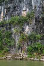 Guilin, China - May 10, 2010: Along Li River. Closeup Of Gray-brown-black Wall Of Cliff Of Karst Mountain Vertically In Green Water. Green Vegetation Cliimbs Up.