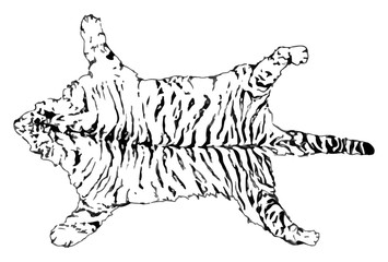 the skin of a white tiger snowy. vector illustration