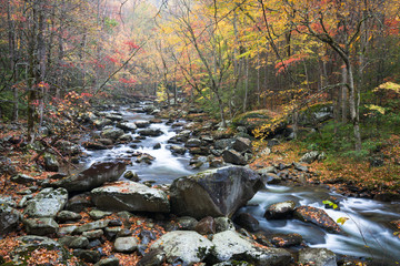 Autumn on the Middle Prong of the Little River, Great Smoky Mountains National Park, Tennessee.