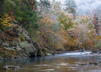 Wall Mural - A light dusting of snow on the autumn colors along the Little River in Great Smokey Mountains National Park.