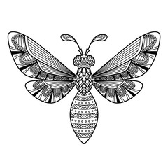 Wall Mural - Vector bee antistress doodle coloring book page for adult. Zentangle insect black and white illustration.