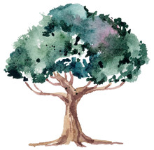 Watercolor Hand Painted Tree On White Background. Cute Illustration On White Background. Can Be Used For Print, Blog, Poster, Greeting Cards, Wedding Invitations