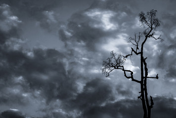 Wall Mural - Silhouette dead tree on dark dramatic sky and white clouds background for death and peace. Halloween day background. Despair and hopeless concept. Sad of nature. Death and sad emotion background.