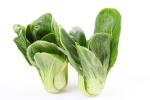 Chinese Cabbage Vegetable On A White Background.