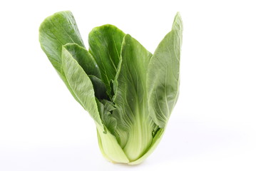 Chinese cabbage vegetable on a white background.