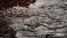 Stream Of Water Flowing On Rocks And Pebbles