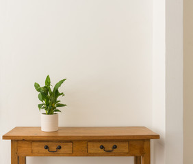 Green leafy houseplant in white pot on oak side table against white wall