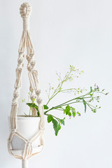 Wall Mural - Hand made macrame isolated on white background.Embroidery.