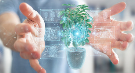 Fototapete - Man holding and touching holographic projection of a plant with digital analysis 3D rendering