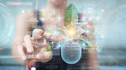 Fototapete - Woman holding and touching holographic projection of a plant with digital analysis 3D rendering