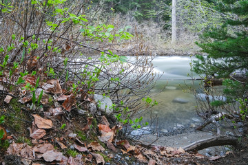 Narrow river in the forest with leaves in the foreground, long exposure, manning park, canada