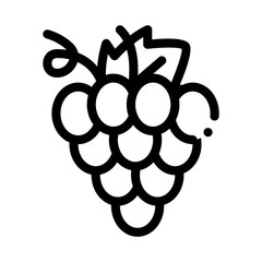 Poster - Grape Wine Berry Icon Vector. Outline Grape Wine Berry Sign. Isolated Contour Symbol Illustration