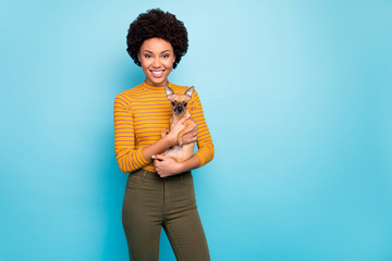 photo of beautiful dark skin wavy lady hold favorite lovely little pet dog hands good mood best frie