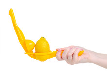 Hand Holding Lemon Squeezer Juicer Juicy On White Background Isolation