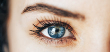 Beautiful Blue Eyes With Long Eyelashes Lenses Vision