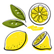 Lemon, whole, half, slice and leaves. Colorful sketch collection of citrus fruits isolated on white background. Doodle hand drawn vegetables. Vector illustration