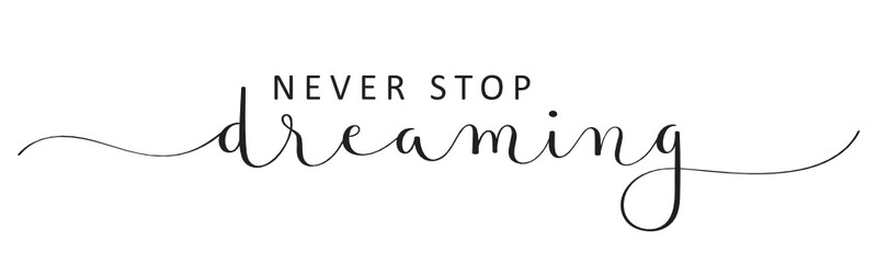 Wall Mural - NEVER STOP DREAMING vector black brush calligraphy banner with swashes