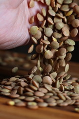 Wall Mural - hand close up pouring lentils on the table