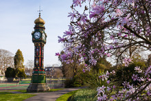 The Clock In The Borough Gardens Dorchester
