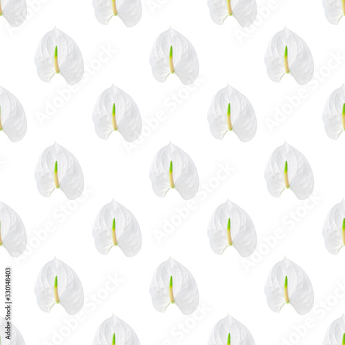 Pattern of a white  flower anthurium on a white background.