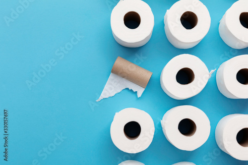 Cuadros en Lienzo Empty used toilet roll next to a full roll of toilet paper
