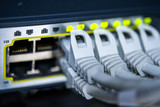 Fototapeta Uliczki - network cables connected to the switch in data center