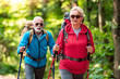 © ivanko80 - Happy senior couple of hikers  in the forest.