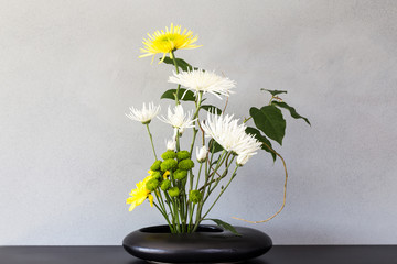 Japanese style flower arrangement Ikebana isolated on white background