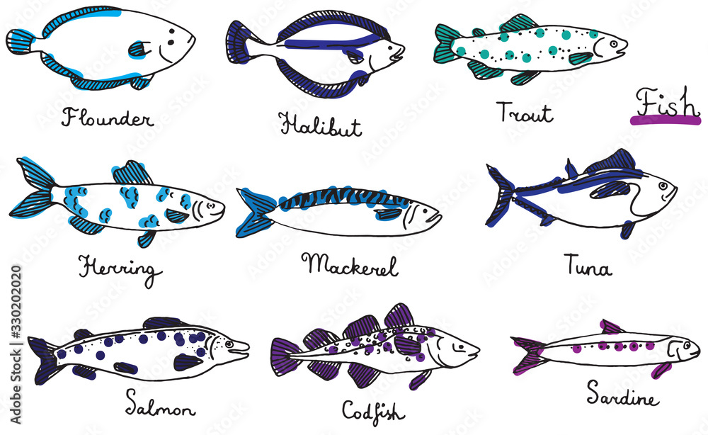 Types of fish, color hand drawn vector illustration: sardine, codfish ...