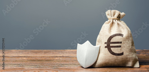 Fotomural Euro money bag and metal shield