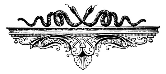 Wall Mural - Snakes on shelf have a good arrangements or artwork, vintage engraving.