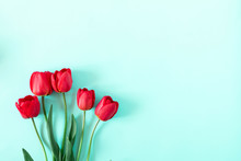 Flowers Composition Romantic. Red Tulip Flowers On Pastel Blue Background. Valentine's Day, Easter, Birthday, Happy Women's Day. Flat Lay, Top View, Copy Space