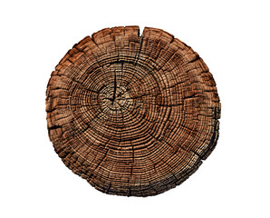 Wall Mural - felled piece of wood from a tree trunk with growth rings isolated on white. natural vintage wood tex