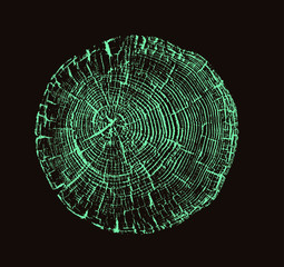 Wall Mural - vector wood texture of cracked rings pattern from a felled tree. blue green wooden stump isolated on