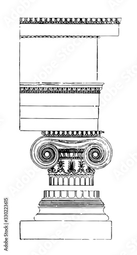 Fotomural Ionic Order, theorist, vintage engraving.