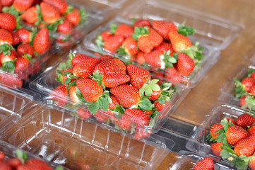 freash strawberry in packed