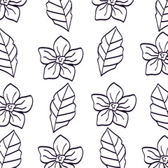 Poster - background of flowers and leafs line style vector illustration design